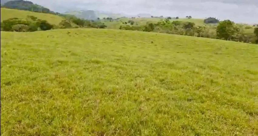 Chácara / sítio à venda na Pindoba, AL, 1, Centro, Pindoba