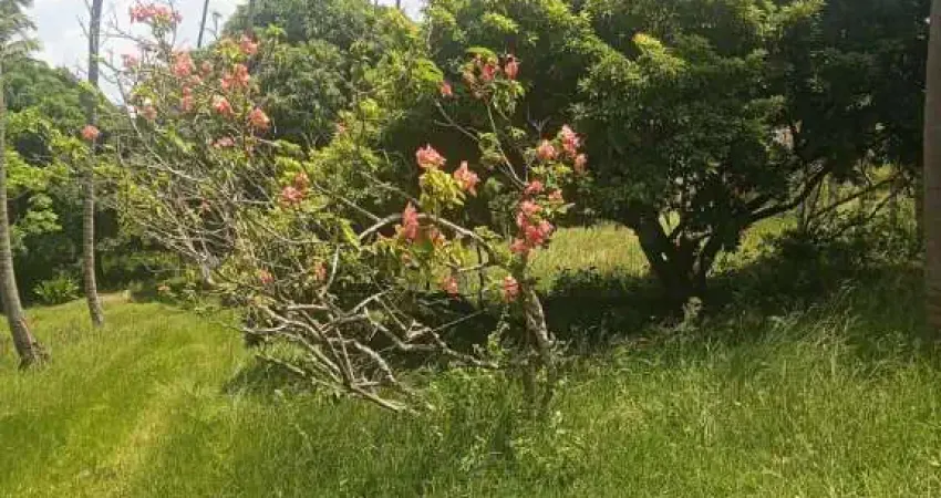 Terreno à venda na Rua Samaritana, 154, Agamenon Magalhães, Igarassu