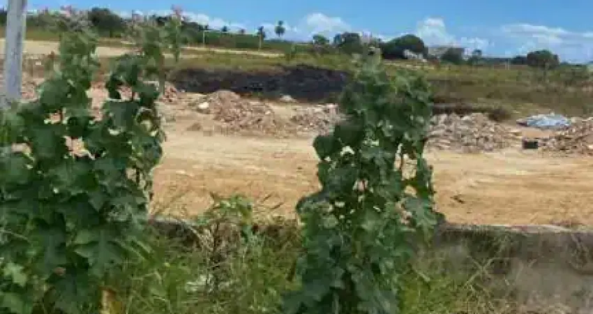 Casa à venda em rua pública, cidade universitária , maceió, al