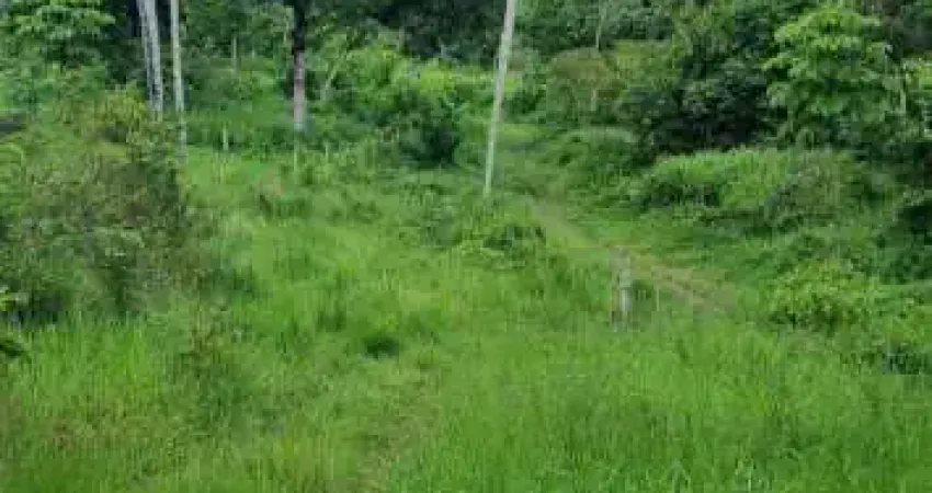 Chácara / sítio com 4 quartos à venda na Rua Samaritana, 154, Agamenon Magalhães, Igarassu