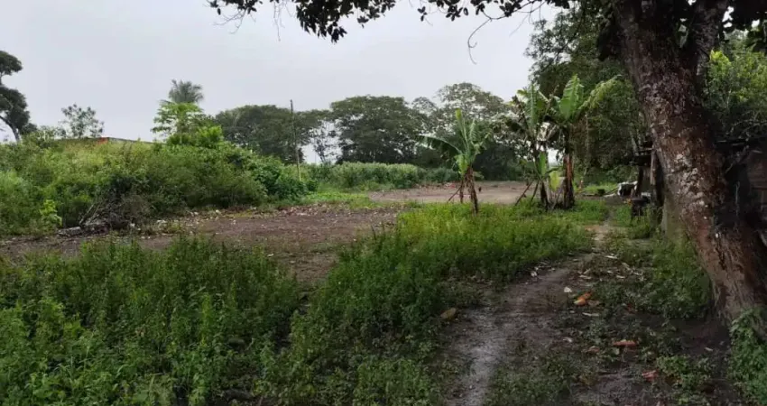Chácara / sítio com 2 quartos à venda na Povoado Boca da Mata, 1, Centro, Atalaia