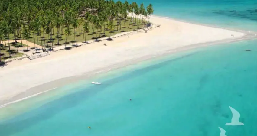 Apartamento à venda no carneiros park flats, praia de tamandaré, tamandaré, pe