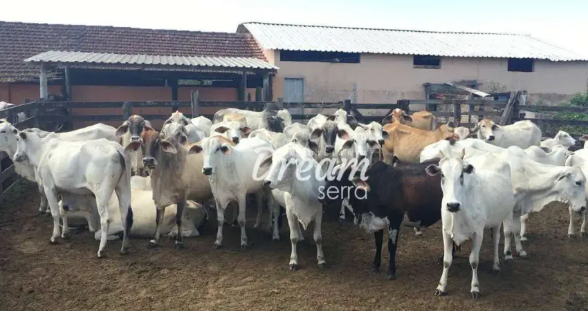 INVESTIDOR OLHA A OPORTUNIDADE! FAZENDA DE 52 ALQUEIRES ATIVA EM ARARUAMA/RJ