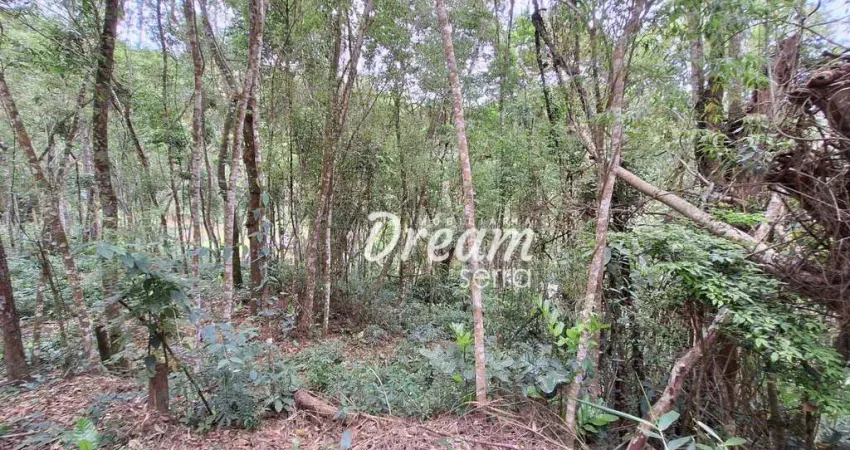 Terreno à venda, 765 m² por R$ 150.000,00 - Pessegueiros - Teresópolis/RJ