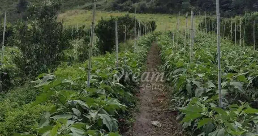 Chácara / sítio com 1 quarto à venda na Estrada Granja Mafra, Granja Mafra, Teresópolis