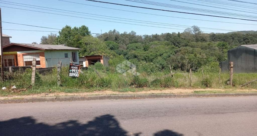 Terreno à venda na Rua Dolores Duran, 327, Lomba do Pinheiro, Porto Alegre