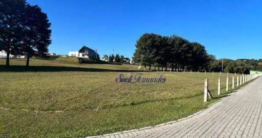 Terreno à venda, 4800 m² por R$ 1.100.000,00 - Campo Largo da Roseira - São José dos Pinhais/PR