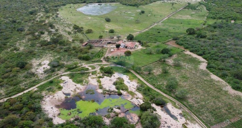 Fazenda completa à venda em Olivedos/PB: 281 hectares com Infraestrutura e Potencial!