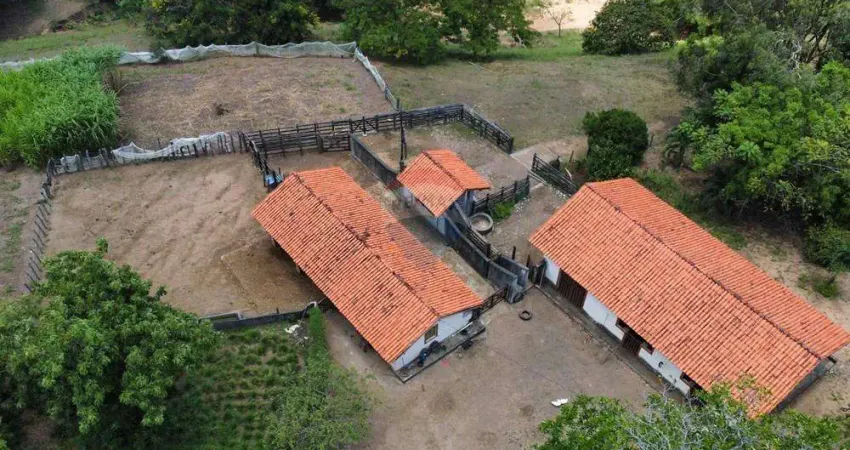 Descubra o Refúgio dos seus sonhos: Granja / Haras no Conde/PB, com 11,4 hectares