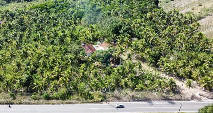 Onde Vida e Negócios Florescem Juntos
