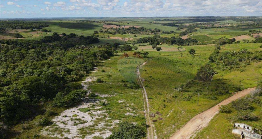Ótima Oportunidade! Adquira este Lindo Terreno Rural para o seu Agronegócio: 9 Hectares em Alhandra, PB!