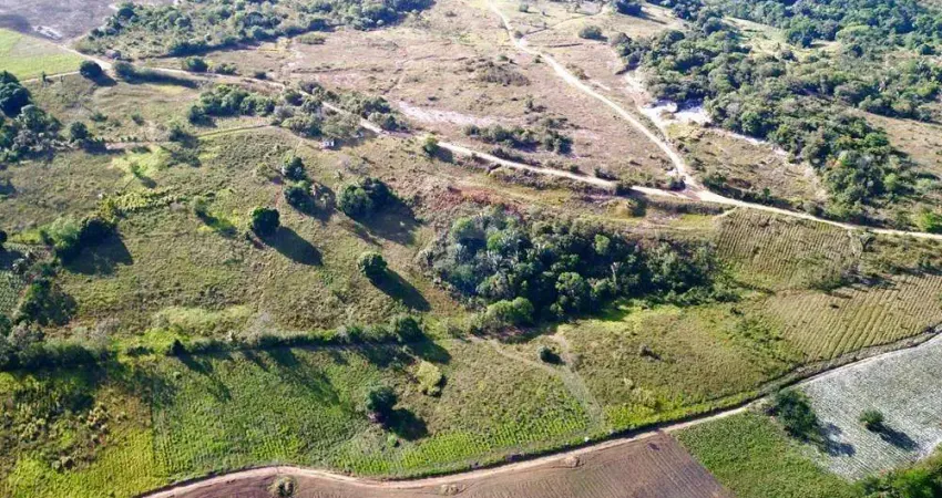 Lindo terreno rural venda! invista no seu agronegócio: 9 hectares, em alhandra!