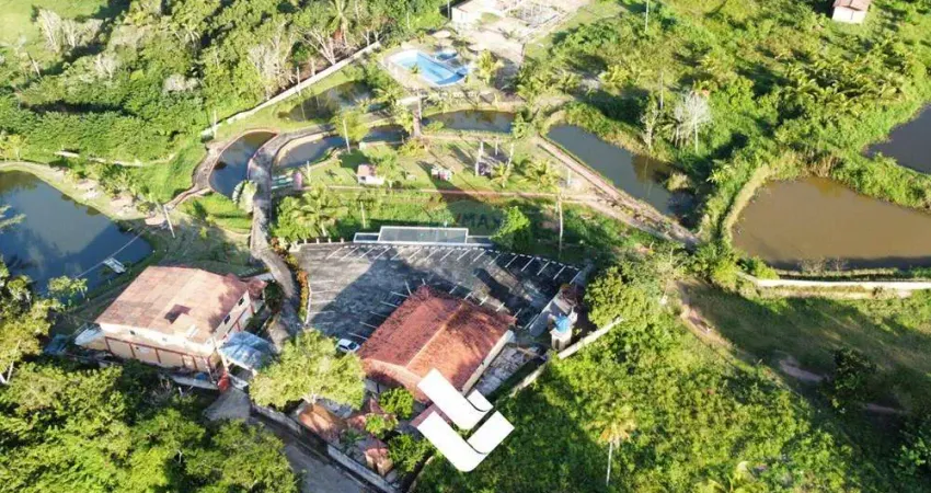 Oportunidade Única de Investimento: Chácara Multiuso de 4 Hectares em Alhandra-PB