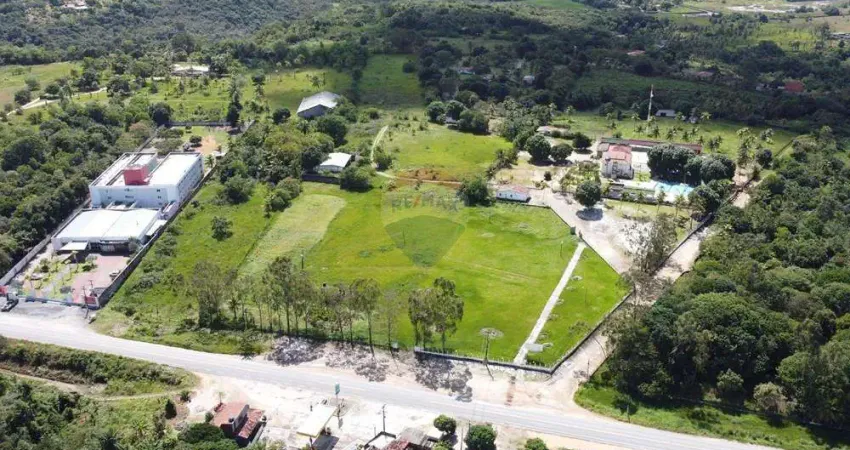 Área/Terreno c/ 46.000m² (4,6ha) em Goiana-PE, às margens da PE-049