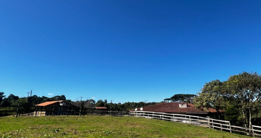 Chácara / sítio com 2 quartos à venda na Área Rural de Almirante Tamandaré, Almirante Tamandaré 