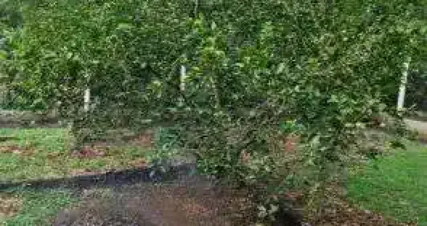 Vendo Rancho Lagoa Preta Rio Pardo