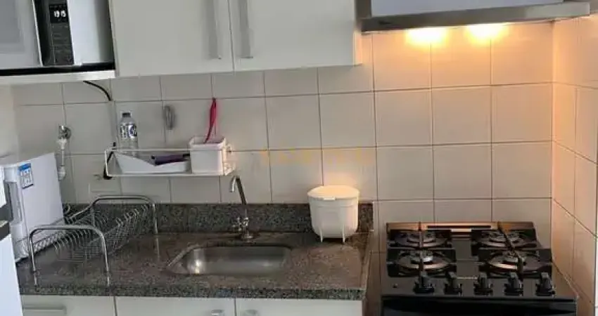 Apartamento com 2 quartos para alugar na Avenida Império do Sol Nascente, 581, Jardim Aurélia, Campinas