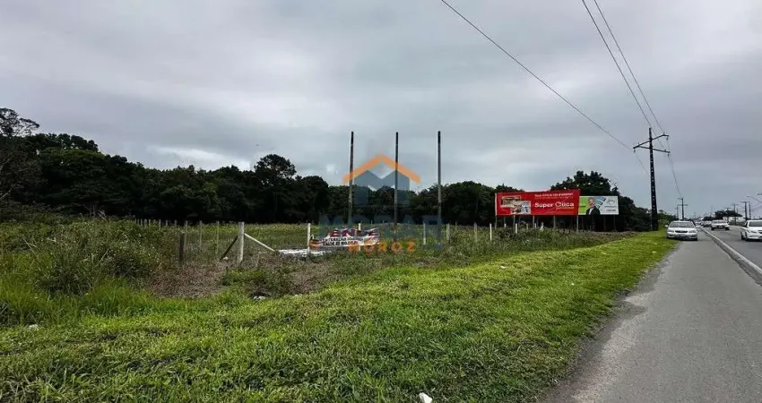 Terreno Frente Rodovia em Ipanema
