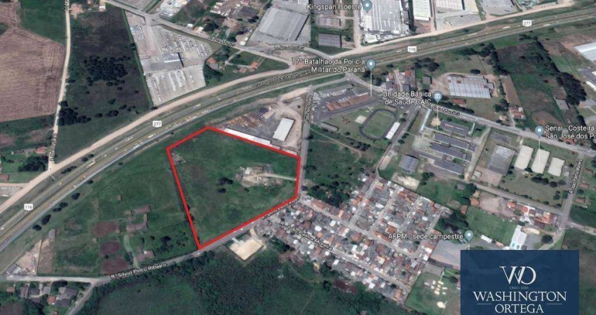 Área à venda, 36453 m² por R$ 27.500.000,00 - Planta Quississana - São José dos Pinhais/PR