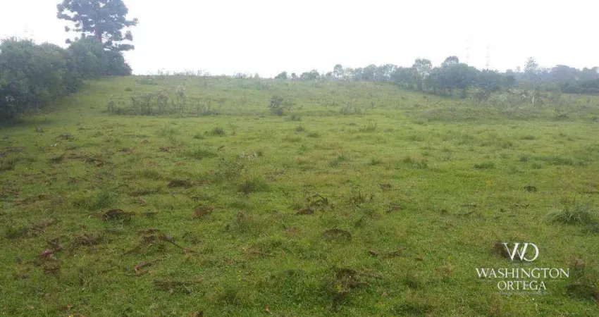 Terreno à venda, 41827 m² por R$ 16000.000 - Colônia Murici - São José dos Pinhais/PR