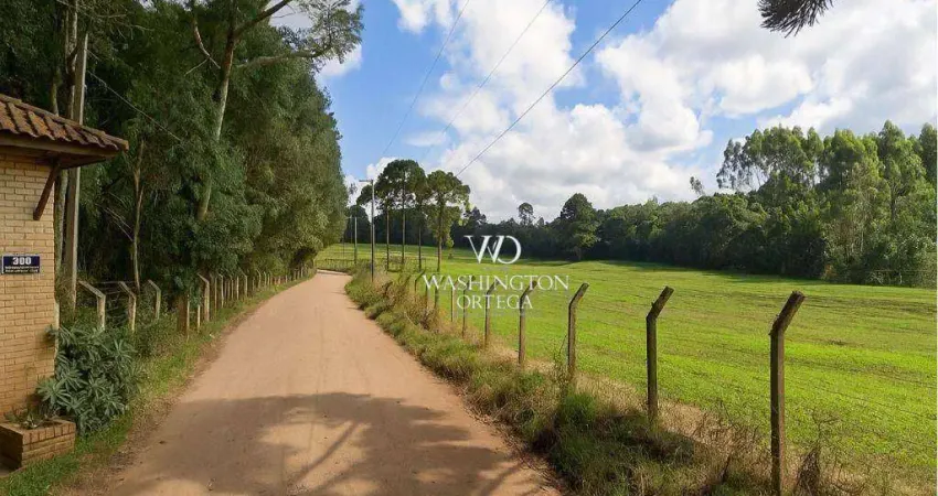 Área à venda, 53240 m² por r$ 6.548.200,00 - borda do campo - piraquara/pr