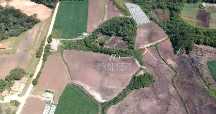 Área à venda, 107690 m² por R$ 4.307.600,00 - Roseira - São José dos Pinhais/PR