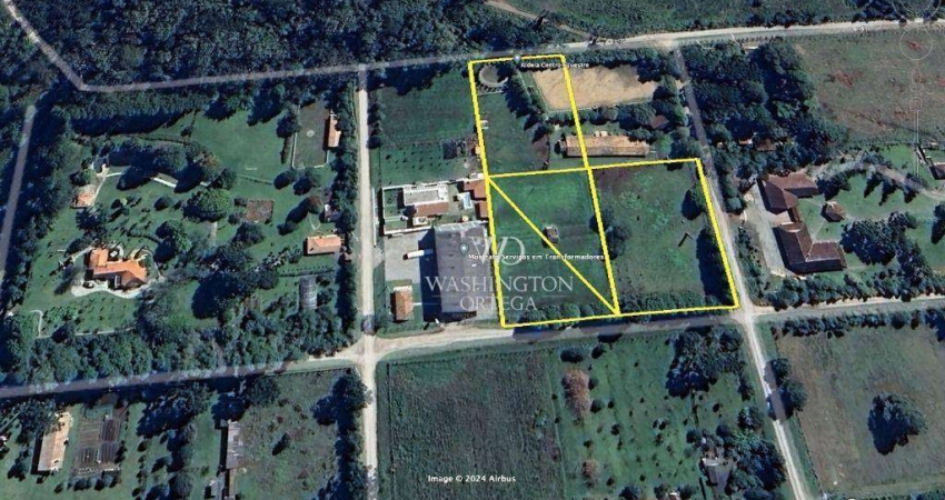 Área à venda, 3750 m² por R$ 490.000,00 - Borda do Campo - Piraquara/PR