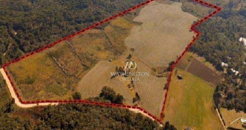 Área à venda, 348444 m² por R$ 24.913.746,00 - Roseira - Campina Grande do Sul/PR