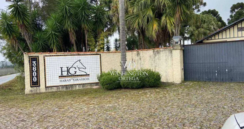Fazenda à venda na Rua Casemiro Greboge, Miringuava, São José dos Pinhais