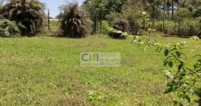 Chácara / sítio com 2 quartos à venda na Rua João Gomes do Nascimento, 58, Esperança, Londrina