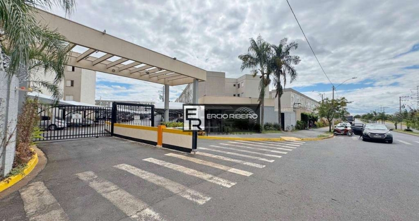 Apartamento com 2 dormitórios à venda, 43 m² por R$ 150.000 - Valentina Figueiredo - Ribeirão Preto/SP OLX ZAP VIVA REAL CHAVES NA MÃO