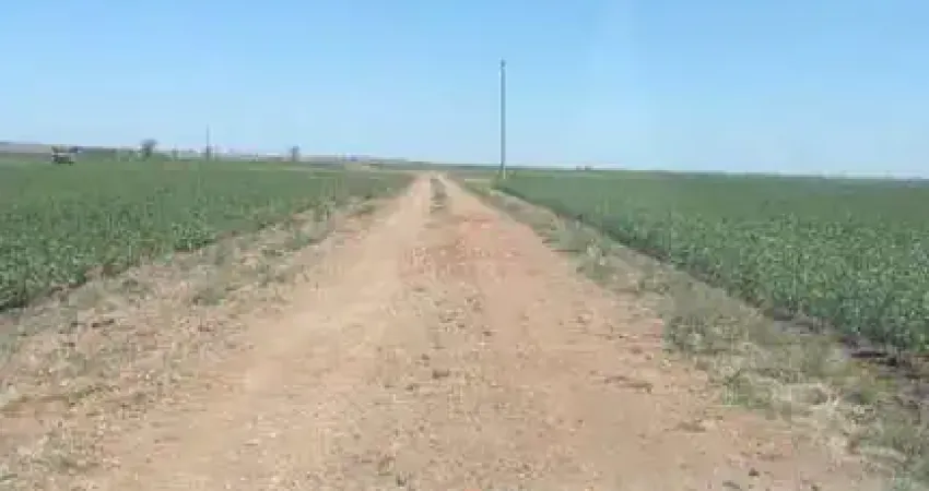Fazenda à venda na Vila do Plano Alto, --, Plano Alto, Uruguaiana