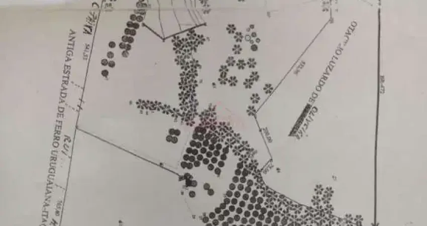 Fazenda à venda na BR 472, --, Imbaá, Uruguaiana