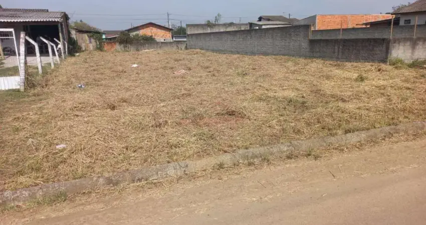 Terreno alto e plano no loteamento jardim califórnia em forquilhinha