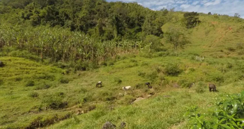 Fazenda à venda com 43 alqueires, Iguape - Guarapari ES