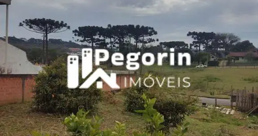 Terreno à venda na Avenida Zumbi dos Palmares, Jardim Apucarana, Almirante Tamandaré