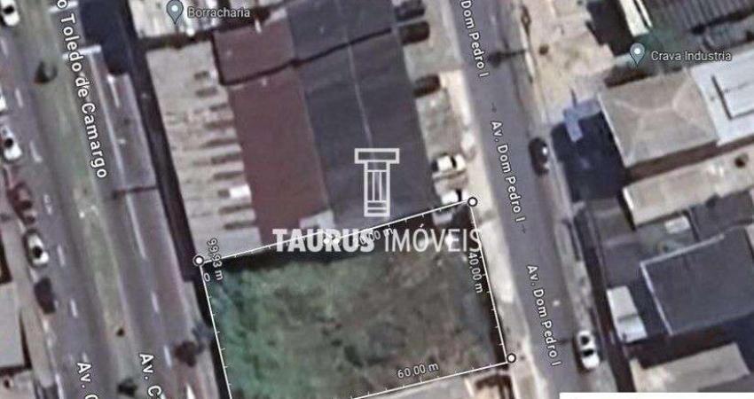 Terreno à venda na Avenida Dom Pedro I, --, Silveira, Santo André