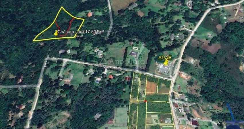 Chácara / sítio à venda na Rua Lais Gotardi Meissner, Chácaras Olhos Dágua, Campina Grande do Sul