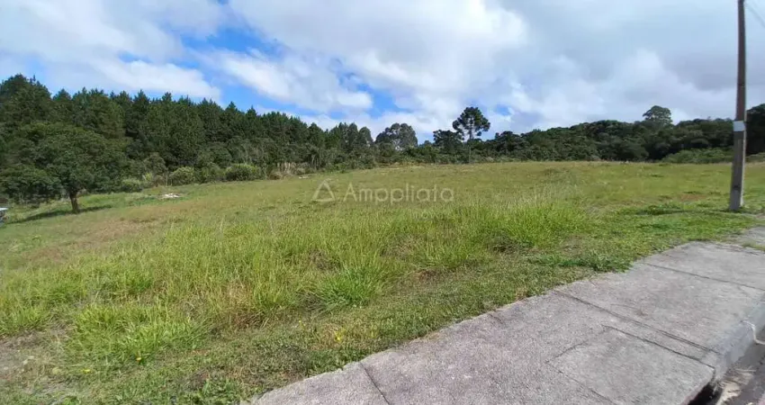 Terreno à venda na Nilo Favaro, 1000, Centro, Quatro Barras
