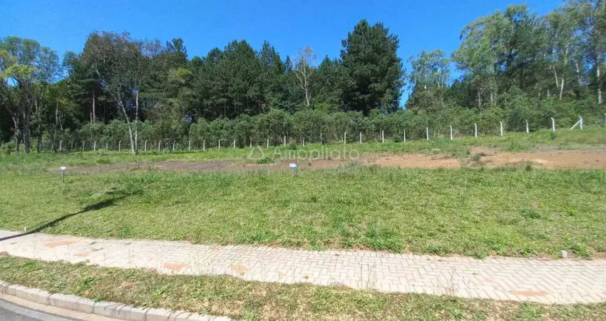 Terreno à venda na Benedito Simioni, 176, Jardim Araçatuba, Campina Grande do Sul