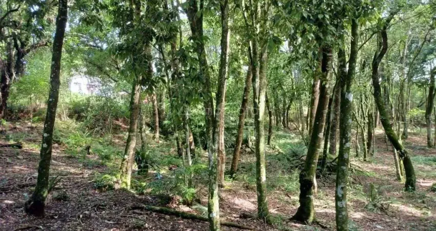 Terreno à venda na Izahir Lago, 15, Borda do Campo, Quatro Barras