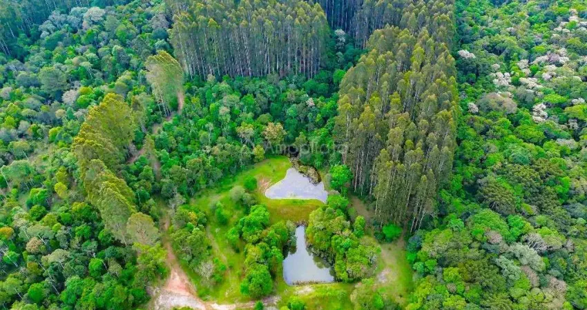 Terreno à venda na Rua Lais Gotardi Meissner, Olhos D' Água, Campina Grande do Sul