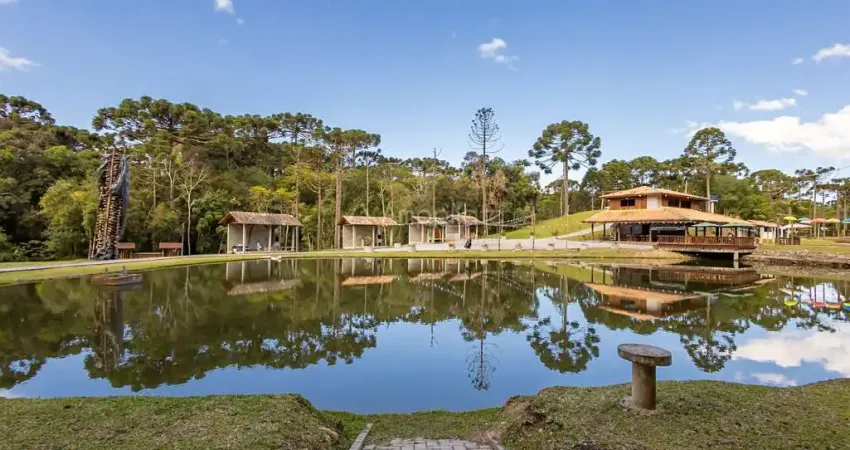 Terreno comercial à venda na Antonio Meirelles Sobrinho, 1300, Centro, Campina Grande do Sul