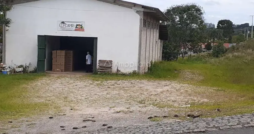 Terreno à venda na São João, 244, Centro, Campina Grande do Sul