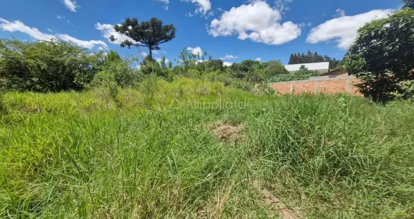 Terreno à venda na Rua Formosa do Oeste, 966, Rincão, Colombo