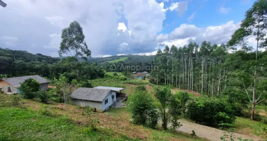 Chácara / sítio com 2 quartos à venda na Alexandre Maschio, 1080, Mandaçaia, Campina Grande do Sul