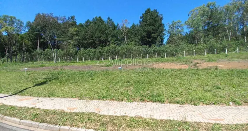 Terreno à venda na Benedito Simioni, 176, Jardim Araçatuba, Campina Grande do Sul