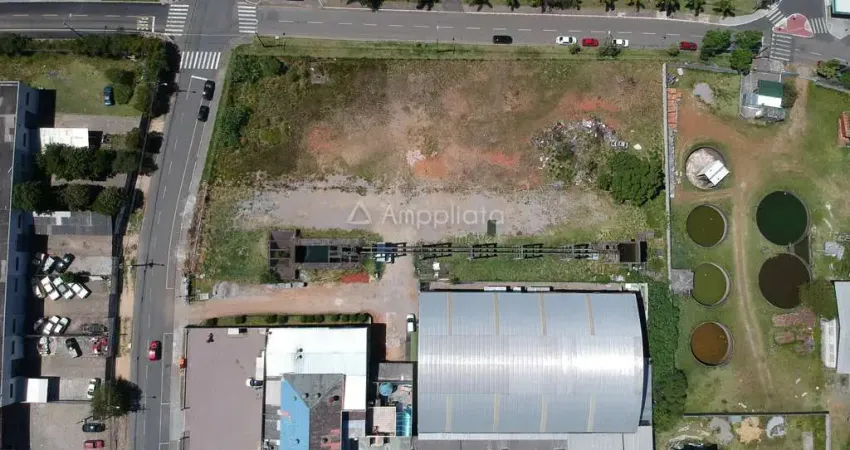 Terreno comercial à venda na Rua Renato Nunes Ribas, Centro, Pinhais