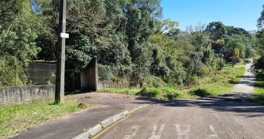 Terreno comercial à venda na Marcos Nicolau Strapassoni, 811, Recanto Verde, Campina Grande do Sul