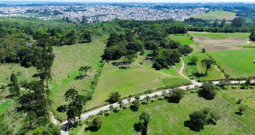 Terreno comercial à venda na Avenida Lindolfo Henrique Ferreira, Jardim Ipanema, Campina Grande do Sul